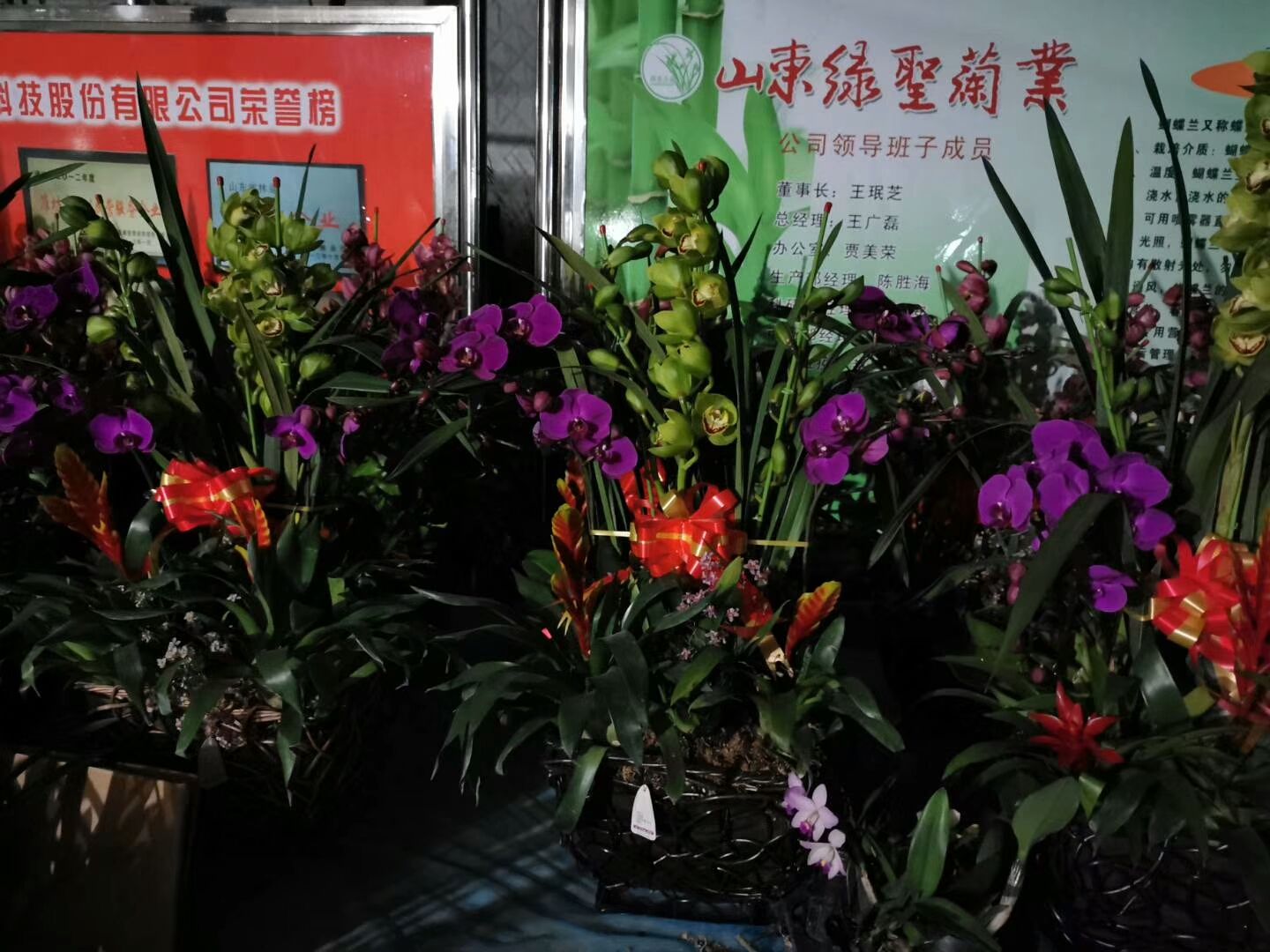 花卉